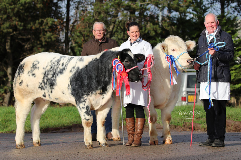 Knockagh Rihanna & Knockagh Paddy